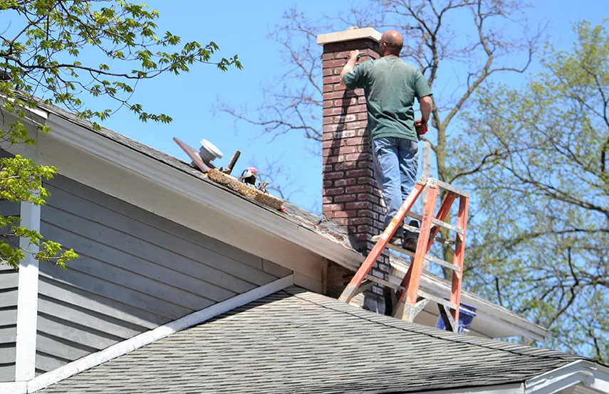 Chimney & Fireplace Inspections Services in Longmont, CO